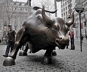 bull